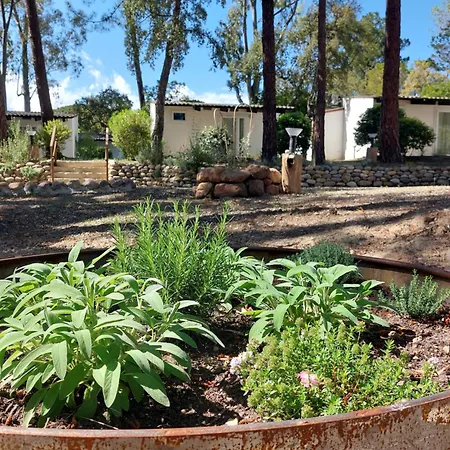 Rezort Fkk-feriendorf Village Naturiste Club Corsicana Linguizzetta