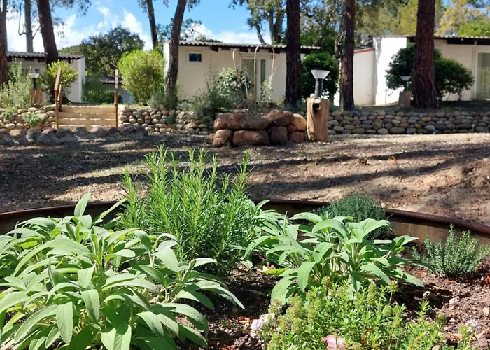 Station touristique Fkk-feriendorf Village Naturiste Club Corsicana Linguizzetta